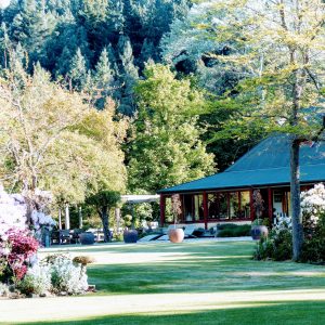 High Peak Homestead garden in the Springtime
